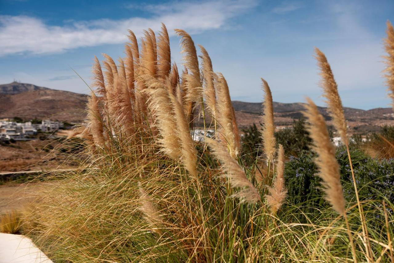 Ventu Paros Villa Marpissa Exterior photo